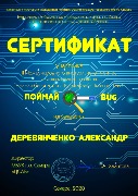 Сертификат участника Деревянченко
