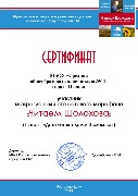сертификат Шолохов 2019.jpg